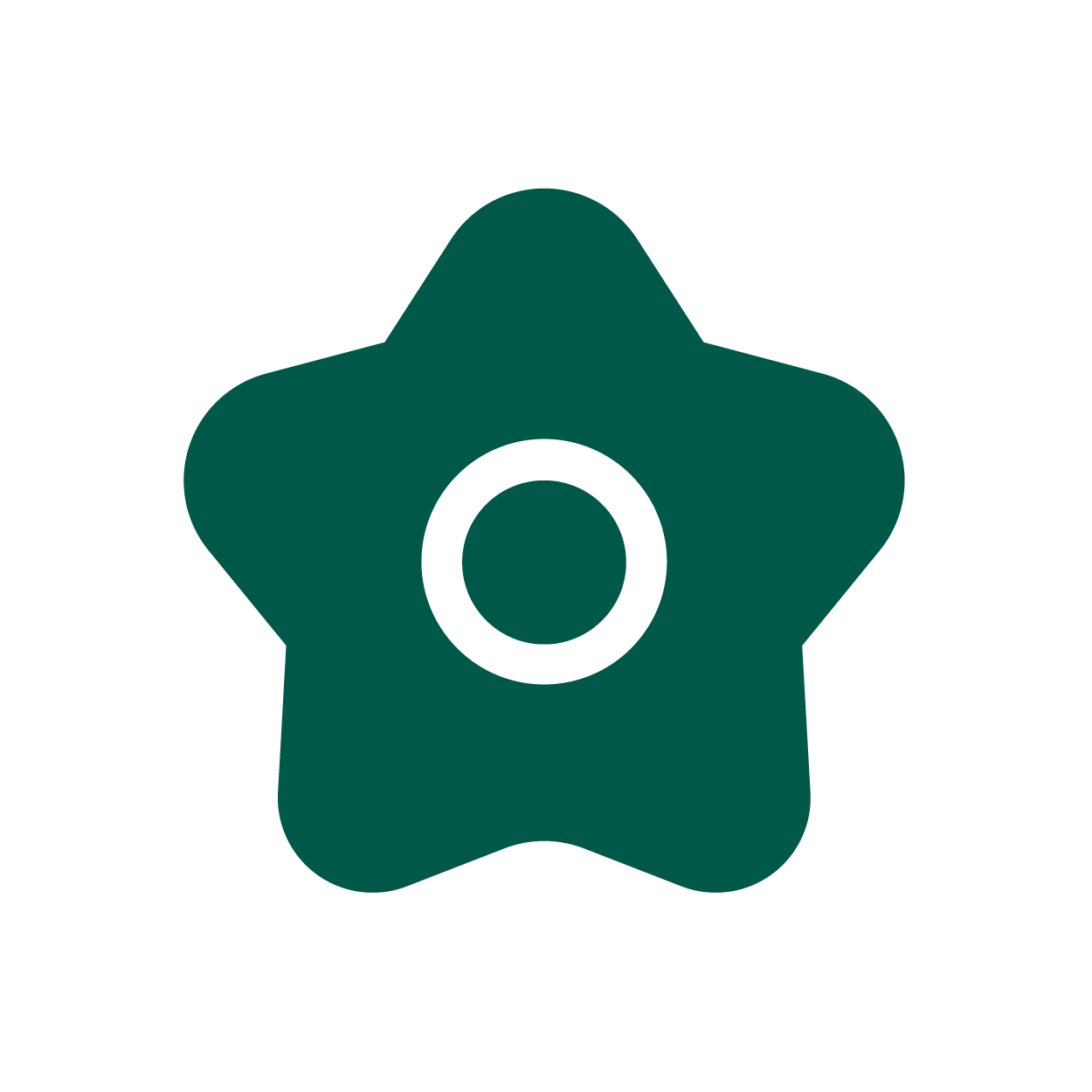 icon4